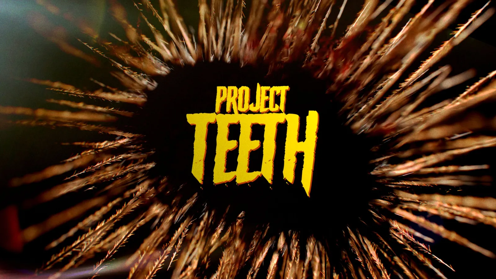 Project: Teeth